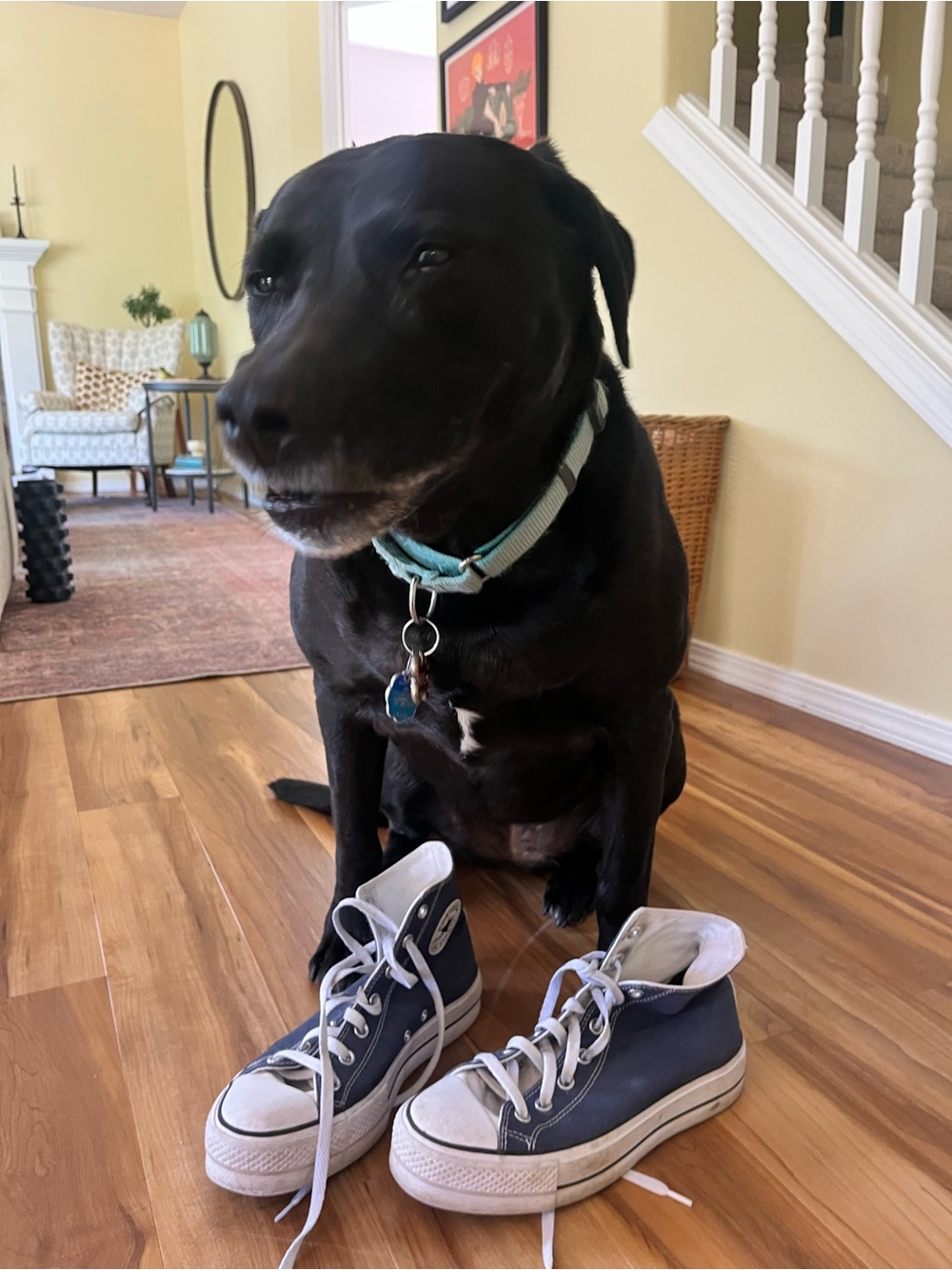 Converse Navy Blue and White High-Top Platform Sneakers. Hardly worn.